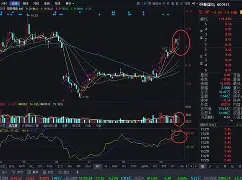 bqxscbl复制 bqxscbl复制