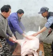 lol外服加速器-出H6~伝H%猪?}S的简单介绍